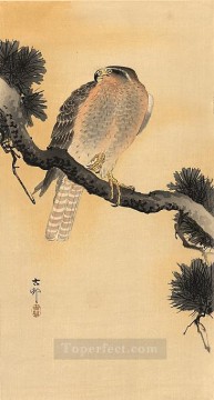 Ohara Koson Painting - falcon on a branch Ohara Koson Shin hanga